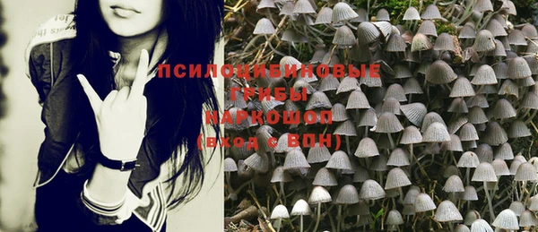 шишки Алексеевка