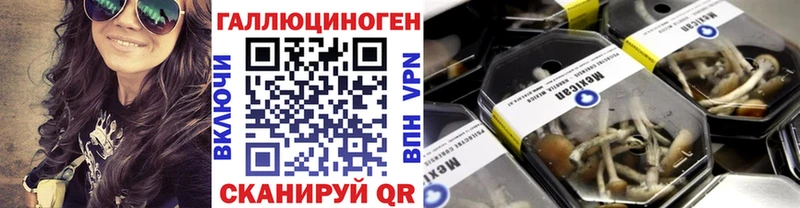 mega ТОР  наркота  Изобильный  Псилоцибиновые грибы Psilocybe 