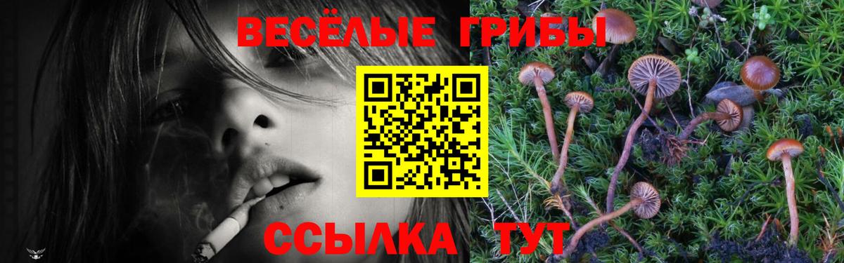 Изобильный  Галлюциногенные грибы мицелий  Псилоцибиновые грибы Cubensis  цены наркотик  Вход с VPN 