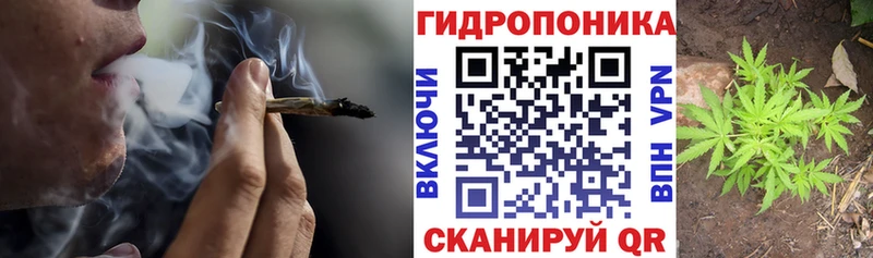 Марихуана Bruce Banner  Изобильный 