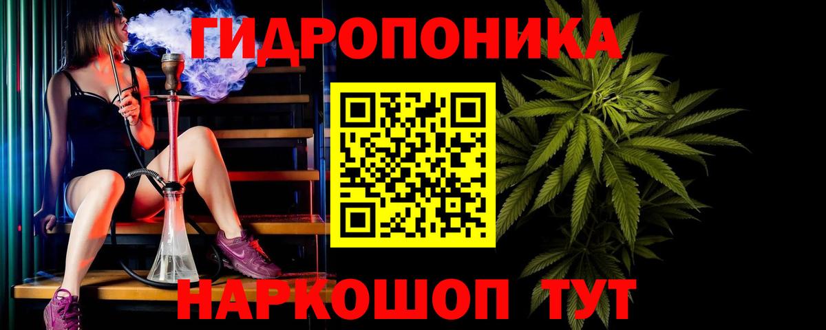 Бошки марихуана OG Kush Изобильный